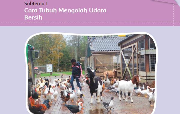 Kunci Jawaban Tema 2 Kelas 5 SD Halaman 3 dan 11, Pembelajaran 1 Subtema 1 Cara Tubuh Mengolah Udara Bersih