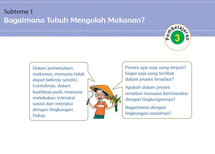 Kunci Jawaban Tema 3 Kelas 5 Halaman 23 24 25 26, Subtema 1 Bagaimana Tubuh Mengolah Makanan: Pembelajaran 3