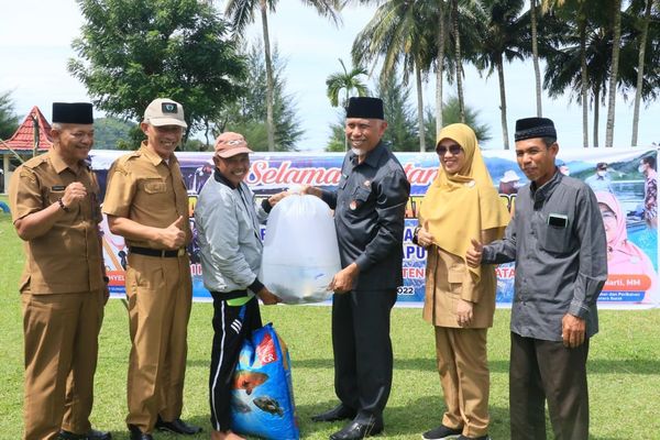 Gubernur Mahyeldi Berikan Bantuan 23 Ribu Benih Ikan Kerapu dan 13 Ton Pakan Ke Pokdakan Sungai Bungin