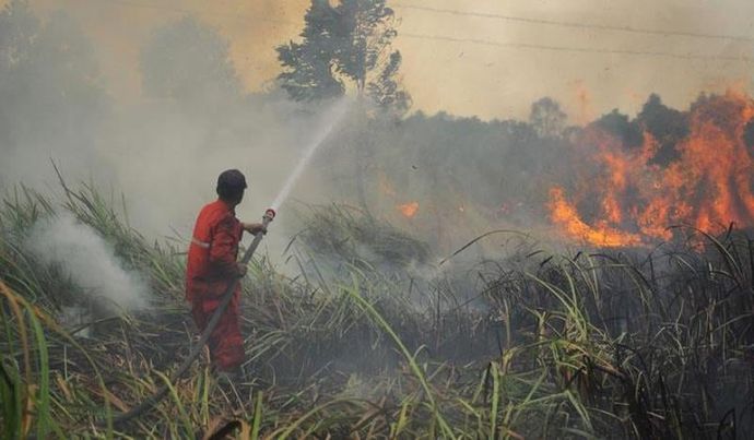 Kebakaran Hutan dan Lahan