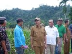 Kerjasama Pengolahan Jagung Dengan Kelompok Tani