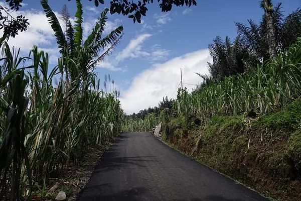 Bupati Tanah Datar Eka Putra Resmikan Jalan Kapalo Lakuak Jorong Pato