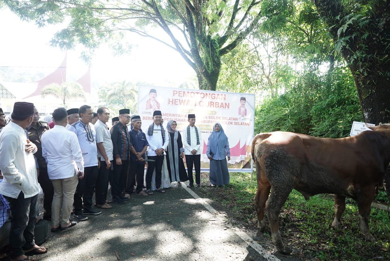 Idul Adha 1444 H, Pemkab Solok Selatan Sembelih 41 Ekor Sapi dan dua Ekor Kambing