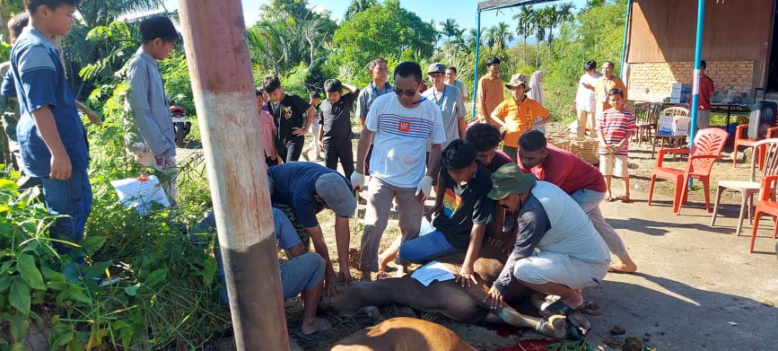 Qurban Menambah Kekuatan Silaturrahmi Warga Komplek Popwils Mushalla Babul Jannah