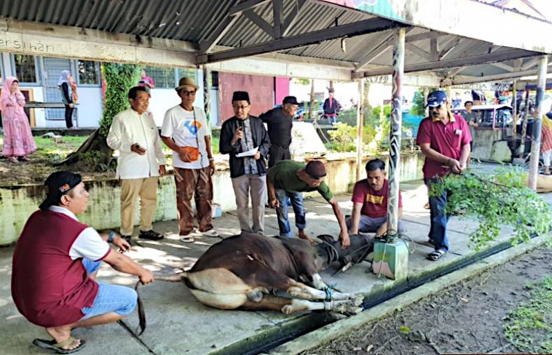 Universitas Negeri Padang Laksanakan Pemotongan 12 Sapi Kurban di Kampus