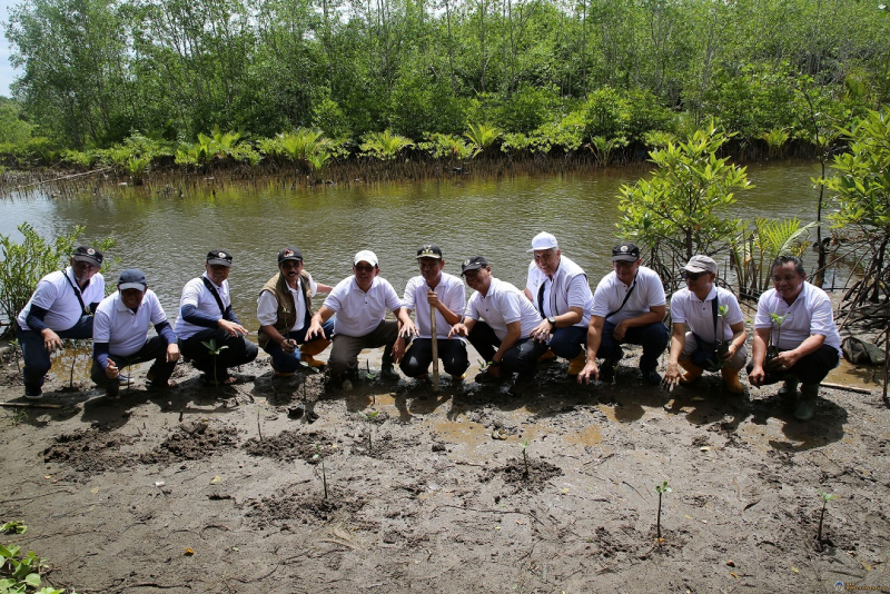 Pascasarjana Universitas Negeri Padang Tanam 1.000 Pohon Mangrove di Kota Pariaman