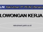 Update Lowongan Kerja PT. PELNI 2023, Cek Cara Daftarnya