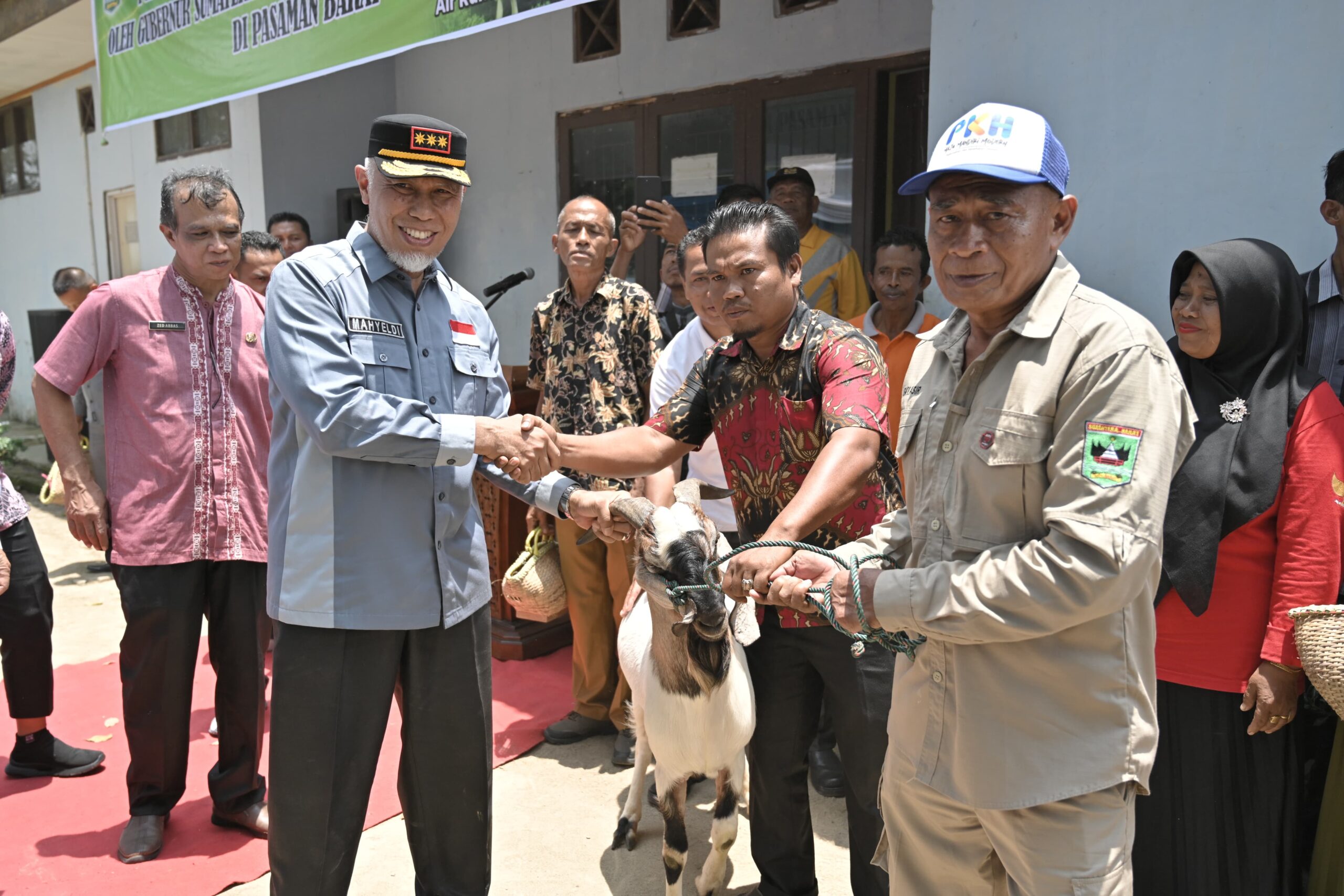 Gubernur Mahyeldi Ansharullah Menyerahkan Bantuan Hewan Ternak Kepada Sejumlah Kelompok Tani Ternak di Pasaman Barat.