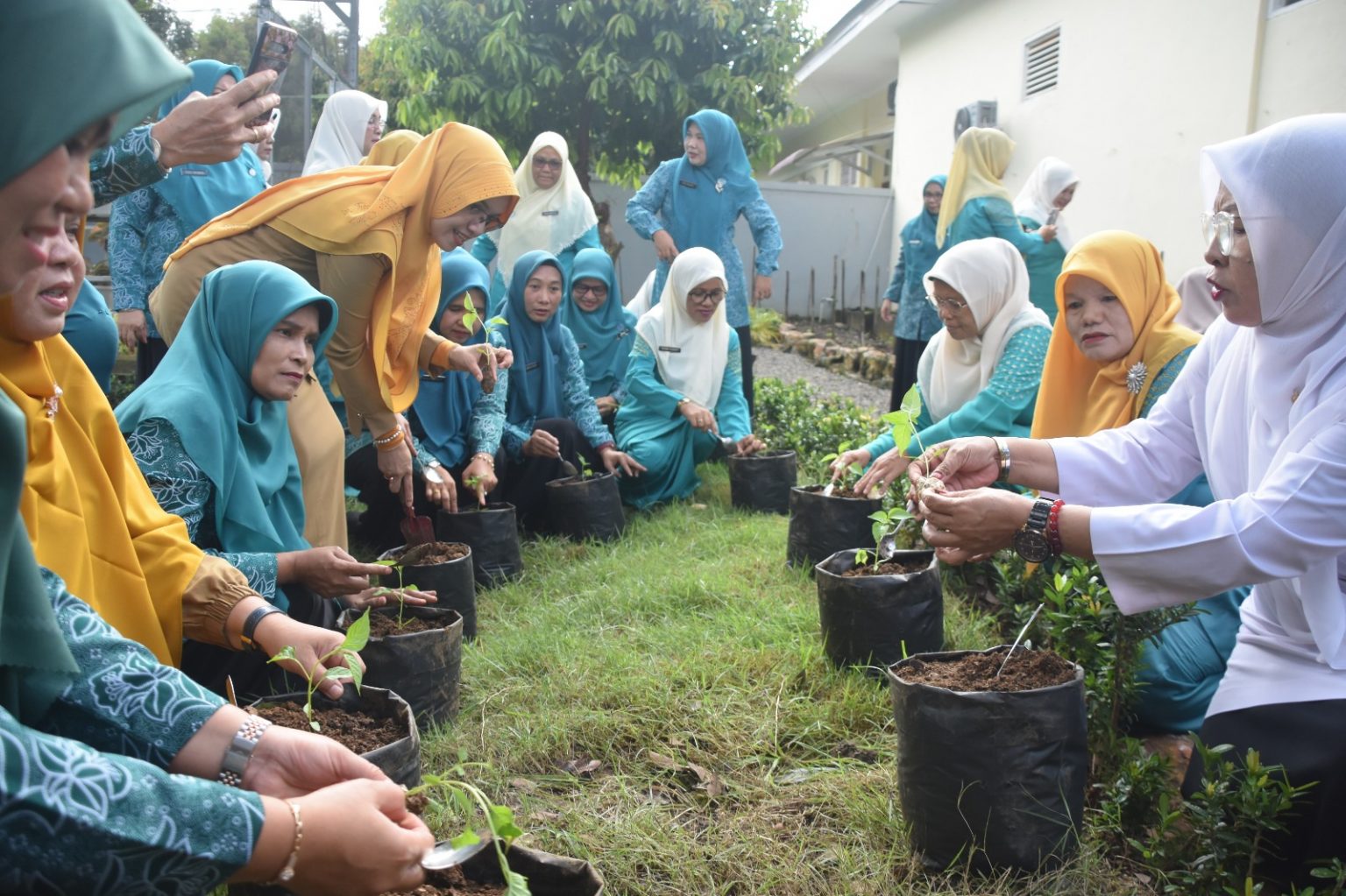 TP PKK Agam Agam Ikuti Gerakan Menanam Cabai Serentak Peringati HKG ke-52