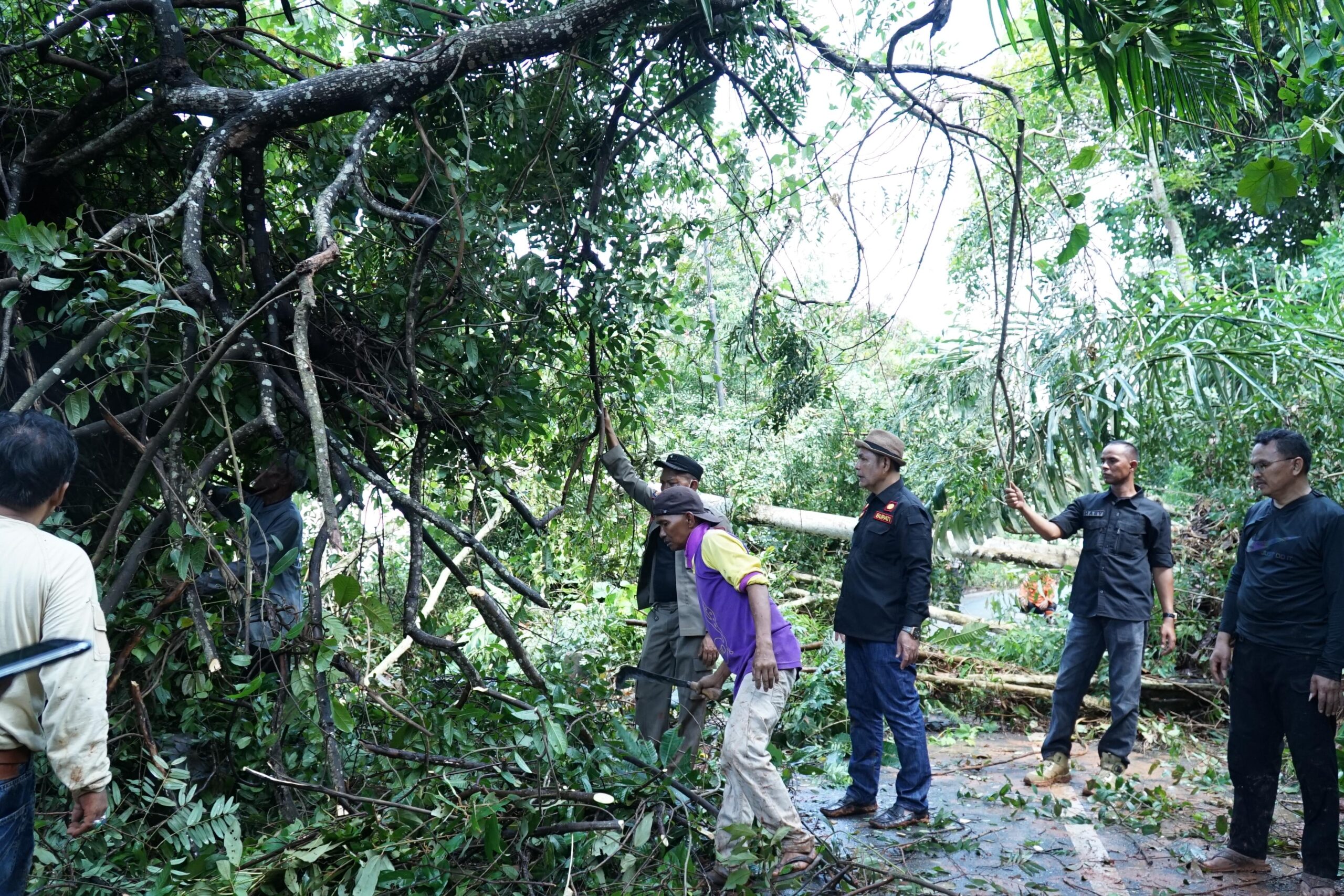 Longsor Singkarak, Bupati Solok Epyardi Asda Tinjau Lokasi dan Turunkan Alat Berat