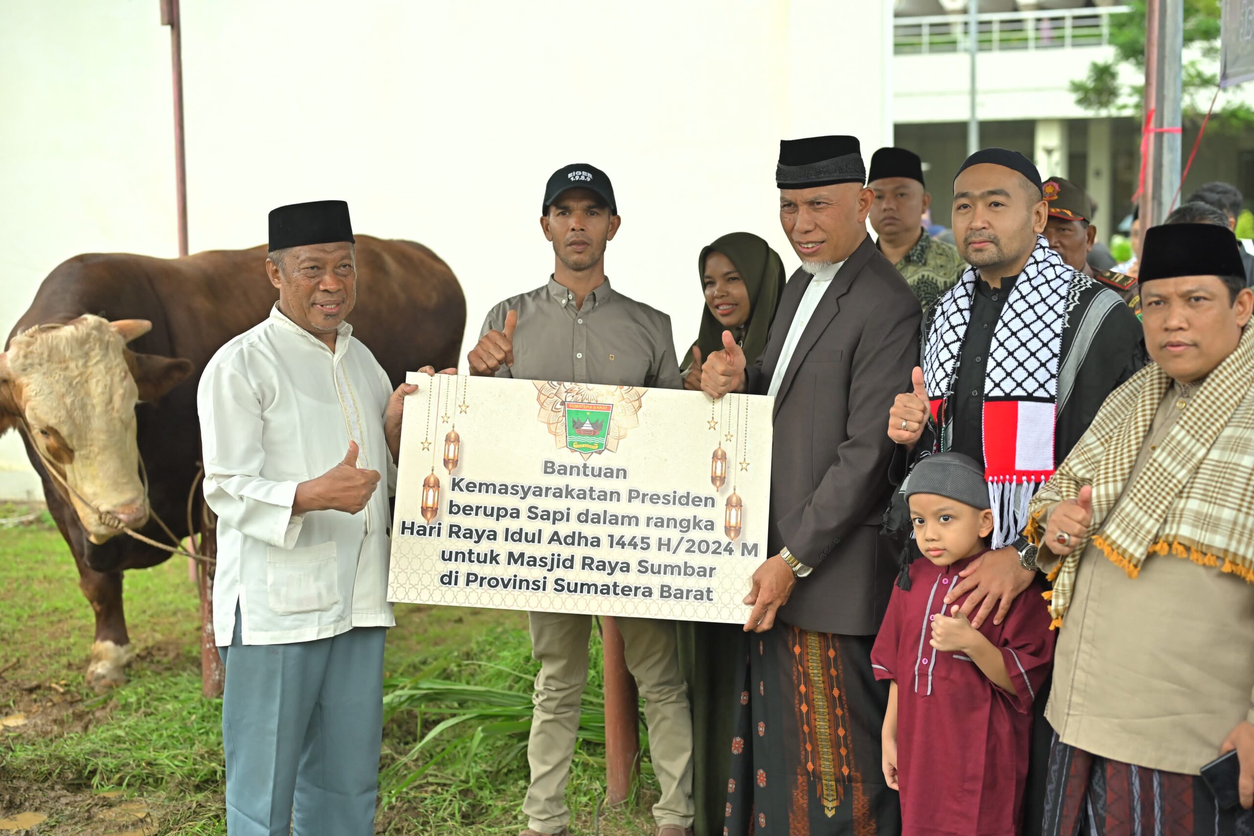 Gubernur Sumbar Mahyeldi Ansharullah Serahkan Sapi Qurban Presiden RI dan 78 Ekor Sapi Qurban ASN dan BUMD