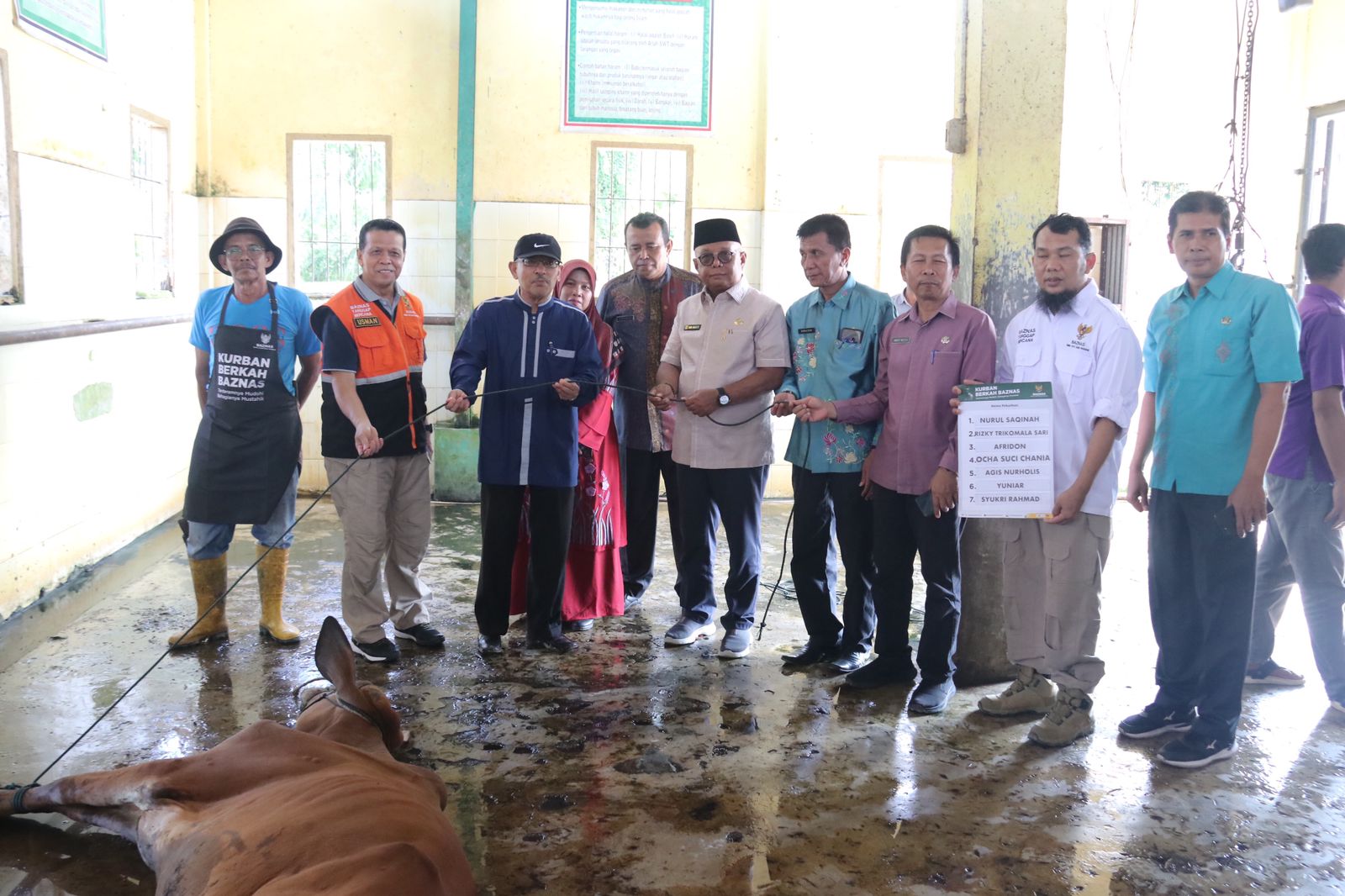 Qurban Baznas Berkah Bertemakan Tentramnya Mudhohi, Bahagianya Mustahik di Kabupaten Agam