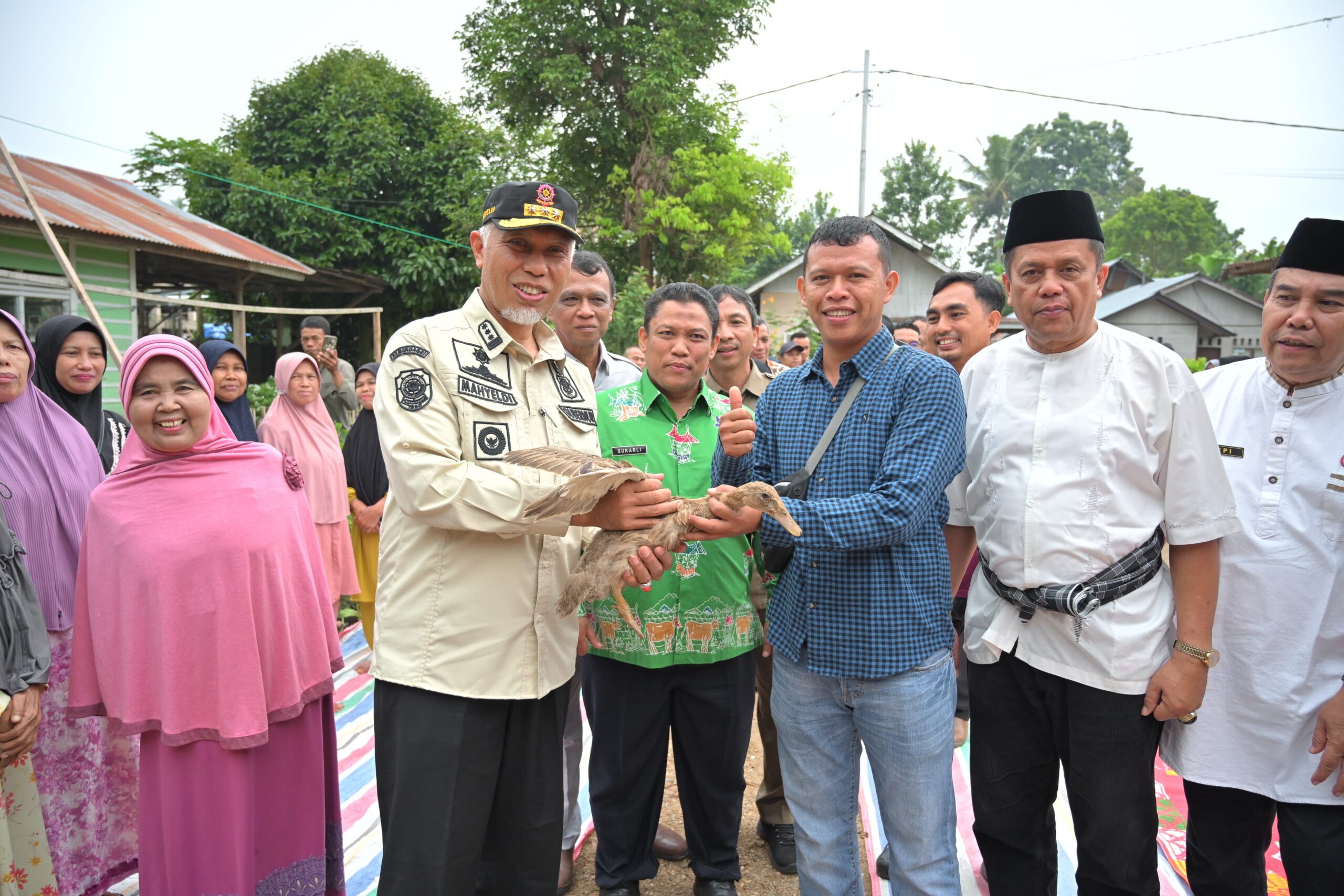 Kebijakan Mahyeldi Ansharullah Dongkrak Kesejahteraan Peternak di Sumaera Barat