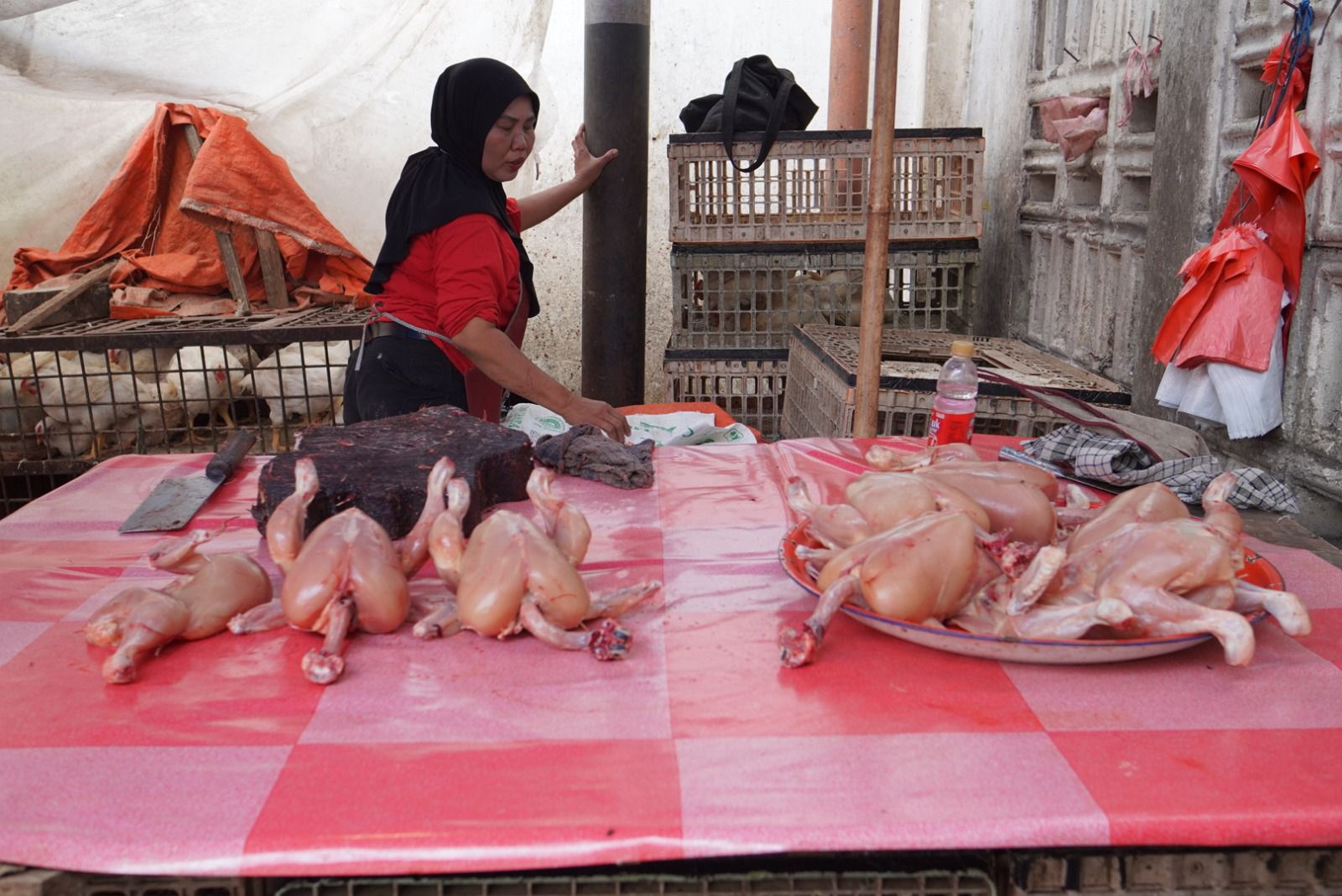 Daging Ayam dan Tiga Komoditas Pangan Padang Panjang Turun Harga