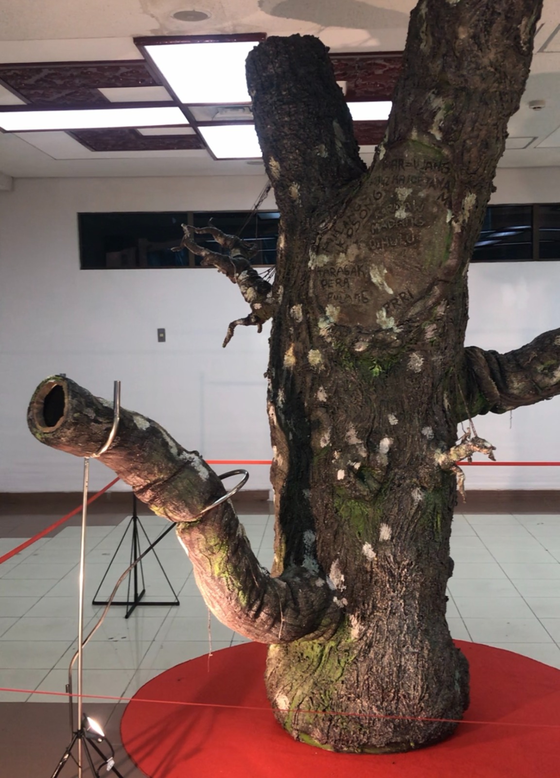 Pohon di Tengah Bandara Minangkabau